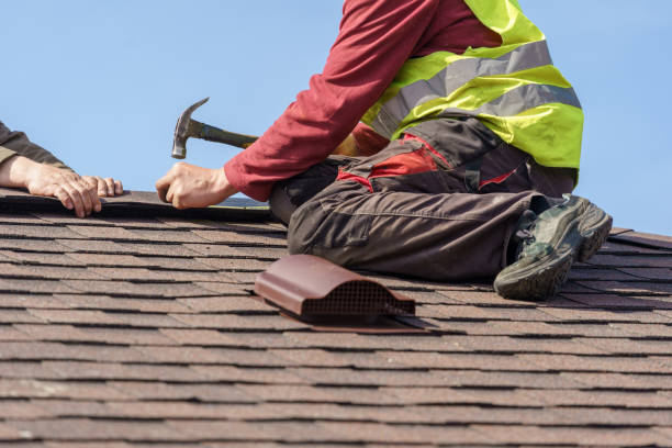 Best Storm Damage Roof Repair  in Brent, FL